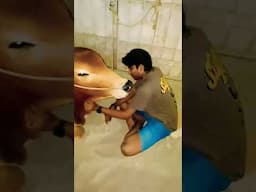 Eid ul Azha Vibe | Cow Lover | Eid 2025 #cowlover #cowmandi2025 #eid2025 #cowvideos