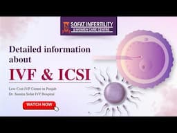 When is the Best time to Opt for an IVF Centre in Punjab? | IVF Treatment | Dr Sumita Sofat Hospital