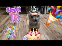 Rovierre's 16th Birthday!!