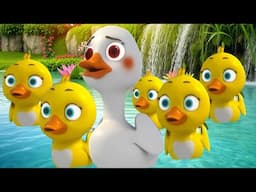 Five Little Ducks Went Out One Day| Toddler Songs and Learning Videos LIVE