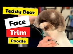 Poodle TEDDY Bear FACE Trim STEP by STEP. A Fusion Inspired Style.
