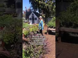 Me buying herbs...
