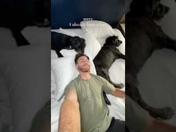 the perfect way to end the day 😴🐺🐺