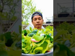 You don’t win friends with salad