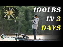 Every Bass He Caught On This Bait Was 5lbs or Bigger!