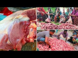 Qurbani Eid Celebration – 86 KG Beef & 75 KG Rice Mixed Biriyani Hodgepodge, Honoring Village Elders
