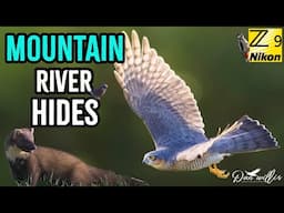 Mountain River Hides - Ireland
