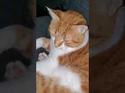 He never gives Me space