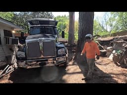 Massive tree removals with a tree Mek crane