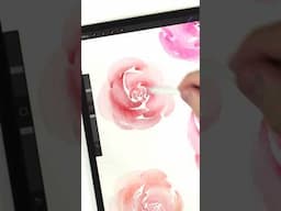 How to paint watercolor roses in procreate