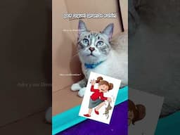 La cancion del gato y su venganza del raton con karen ! 😰🐀🙀