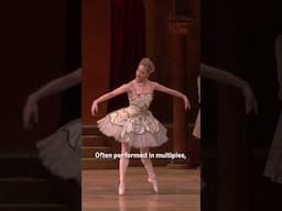 Illustrated Glossary - Hops en pointe #TheRoyalBallet #Ballet #HopsEnPointe #KnowYourSteps