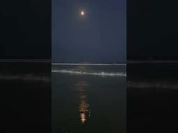 #shorts | Moonlight + Seabeach = Pure Bliss