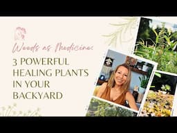 Weeds as Medicine: 3 Powerful Healing Plants in Your Backyard | Ashley Elenbaas