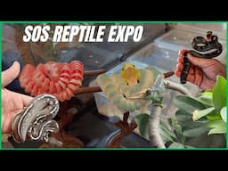 The LARGEST Reptile Expo In AFRICA - SOS Reptile Expo!
