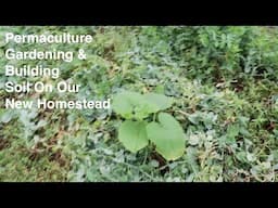 Permaculture Gardening And Building Soil