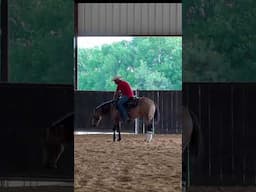 Ride Like a Pro: Slow Down Without Pulling the Reins 💪🏾〽️