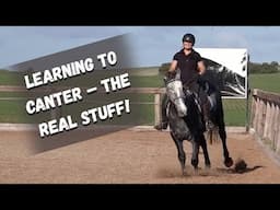 How I Teach My Horse To Canter For The First Time!