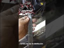 cambio de faja de distribución de Geo metro