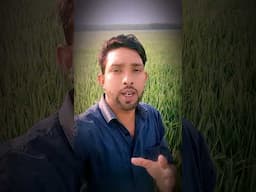 ফলোয়ার বাড়াইতে চাইলে এই কাজটি করতেই হবে। #shorts  #viralvideo #education