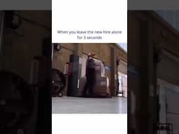 POV: You turn your back on the new hire once...