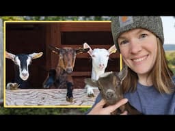 Holistic Goat Management - Goat Expert Morgan Michaluk