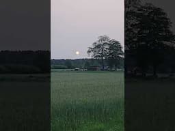 Why I like travelling at dawn in summer in eastern Poland....
