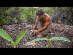I Started a Garden on my Primitive Homestead (new beginnings part 12)