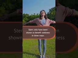 Stem Cells for Wellness
