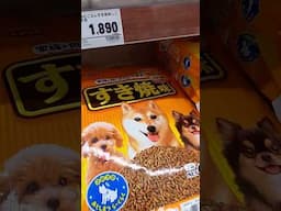 Japanese Dog Food Be Like... | #shorts
