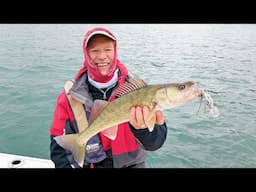 New Scuttletail Lure and walleye