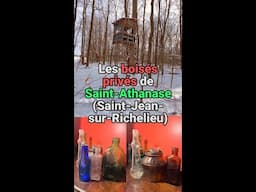 🌳 Les boisés privés de Saint-Athanase (Saint-Jean-sur-Richelieu) 🏹