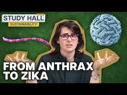 How Does Public Health Relate to Climate Change? | Sustainability 26 of 31 | Study Hall