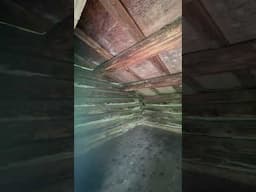 WILEY SHELTER Appalachian Trail 2025 Thru Hike #appalachiantrail #thruhike #shelter #newyork