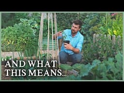 Why I've Stopped Caring as Much in the Garden | The Kitchen Garden Ep6