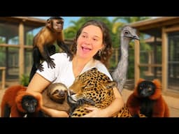 ALL MY EXOTIC ANIMALS IN ONE VIDEO!