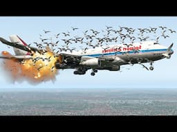 Pilot Lost Control of Airplane After Birdstrike in XP11