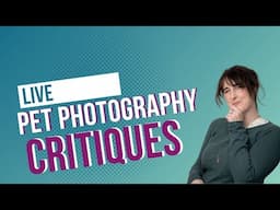 Pet Photo Critiques - Composition, Light, Editing mistakes you might be missing