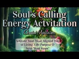 ✨Answer Your Soul's Calling✨ Activation for Alignment, Purpose & Next Steps 🪷 w/ Jamie Wozny