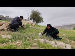 A nomadic family's relentless effort to build a shelter in the mountains