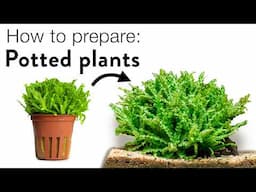 How To Plant Aquarium Potted Plants