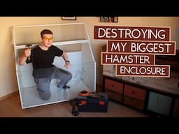 Destroying my Largest Hamster Cage (and rebuilding it, but different)