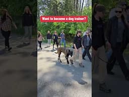 Join our dog trainer certification programs!