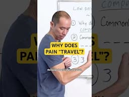 Why Does Pain "Travel"? (It’s Not Random)