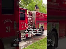 #Fire #dogs #dog #animals #housefire #firefighter #phone #cellphone #charger #shorts #fyp #help #wow