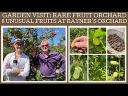 Eight interesting and unusual fruits at Rayner's Orchard! Part 2