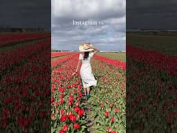 It is tulip season in the Netherlands 💐 #relatable #travelshorts