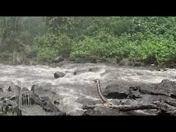 Manoa Stream Flash Flood 4/29/25 (15 minutes)