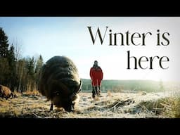 Spending Winter Days Harvesting and Preserving