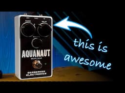 Berserker Electronics Aquanaut Delay